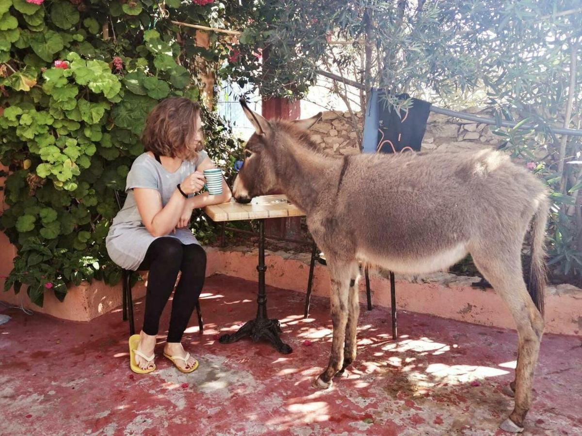 Surf Housemaroc Hostel Essaouira Ngoại thất bức ảnh