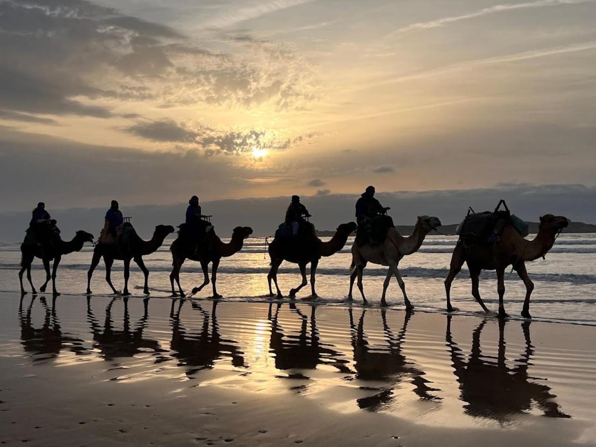 Surf Housemaroc Hostel Essaouira Ngoại thất bức ảnh