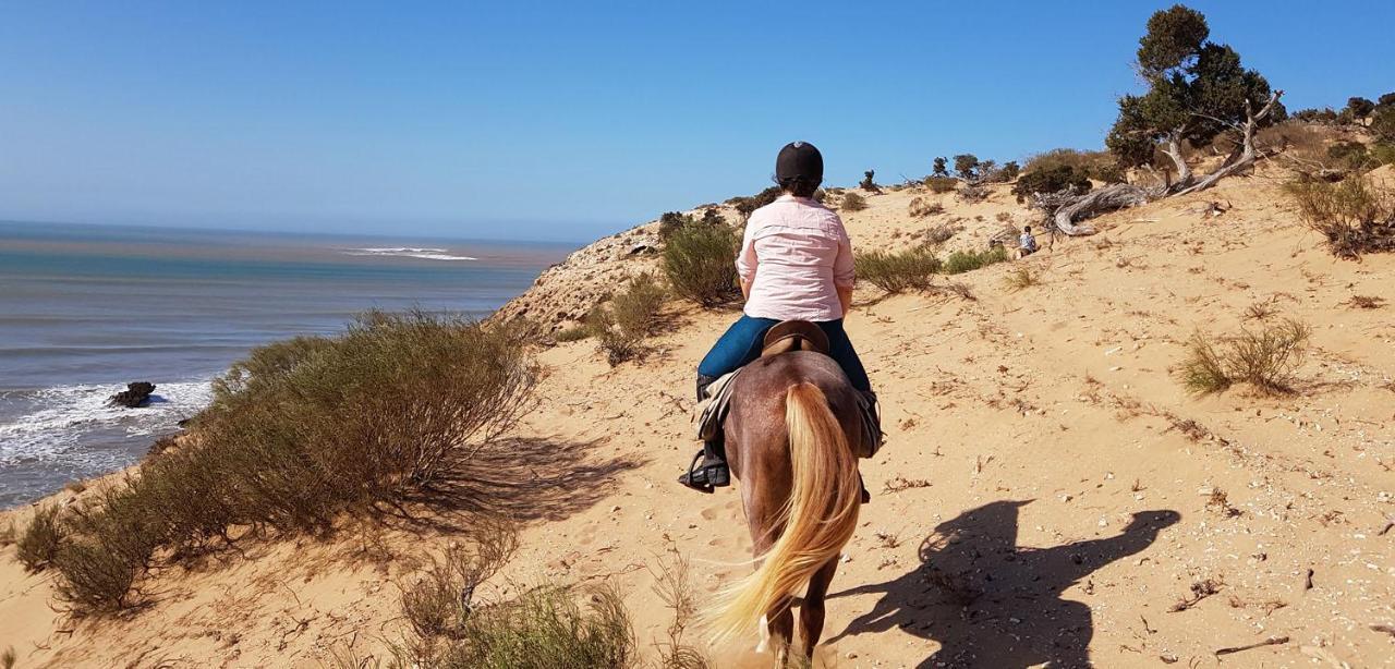 Surf Housemaroc Hostel Essaouira Ngoại thất bức ảnh